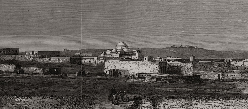 The French occupation of Tunis: The City of Tunis. Tunisia 1881 old print